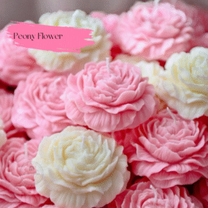 Peony Flower