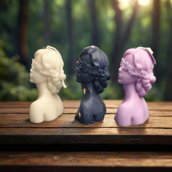 The Blind Lady - Image 2