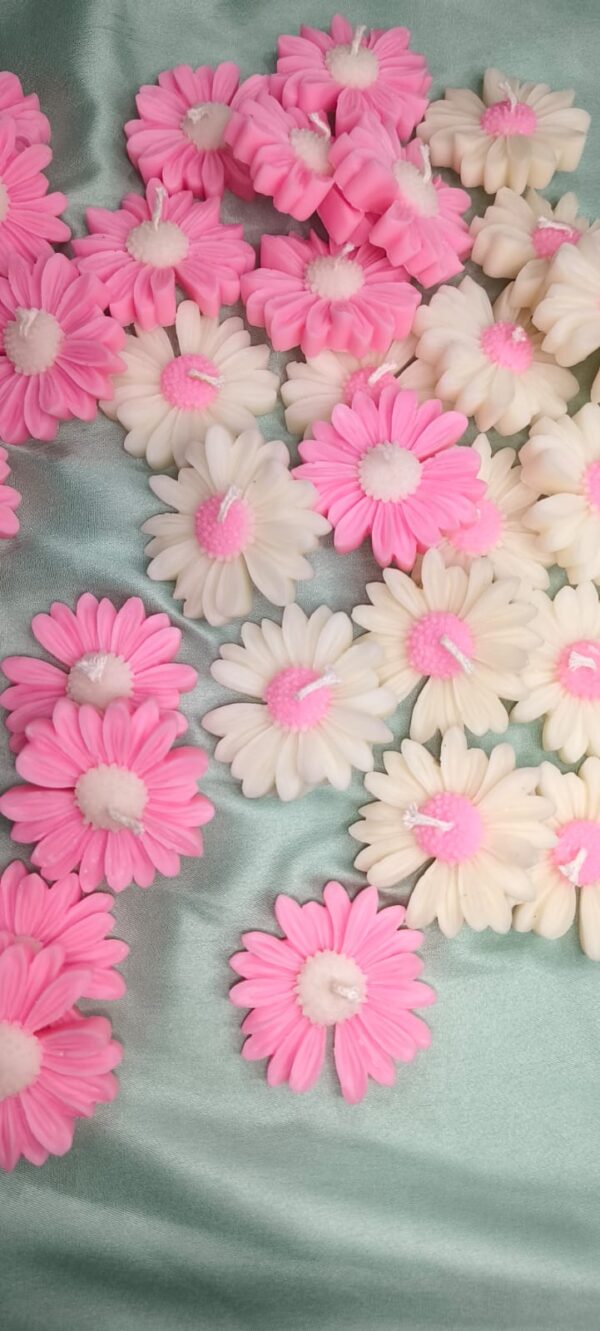 Daisy Flower - Image 3