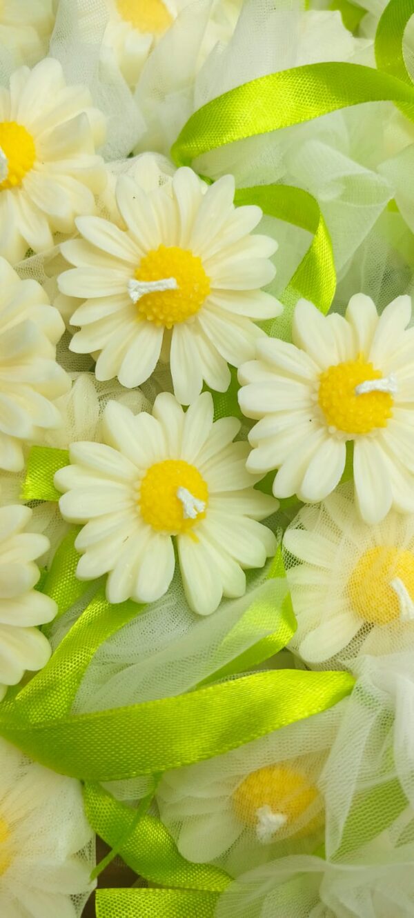 Daisy Flower - Image 2
