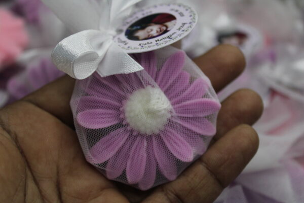 Daisy Flower - Image 6