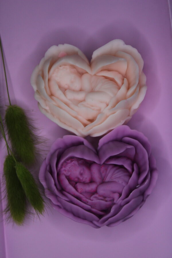 Baby in Rose Flower