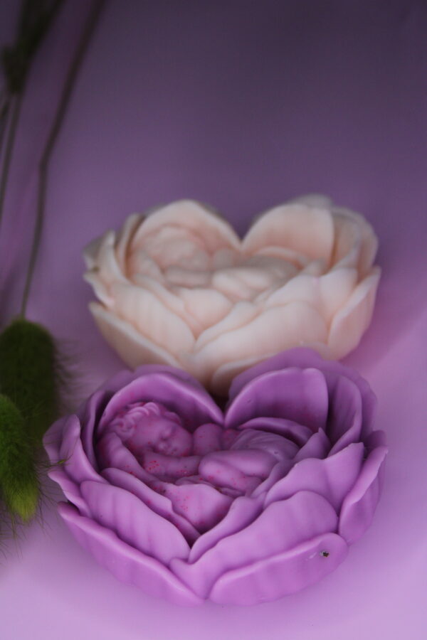Baby in Rose Flower - Image 3