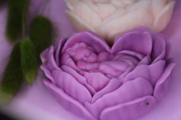 Baby in Rose Flower - Image 4