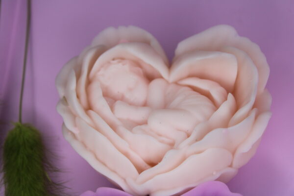 Baby in Rose Flower - Image 5