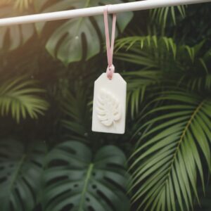 Wax Sachet - Monstera